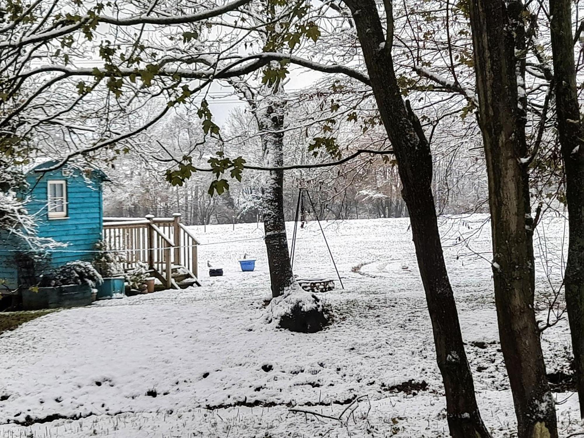 Herstmonceux The Shepherds Hut מראה חיצוני תמונה